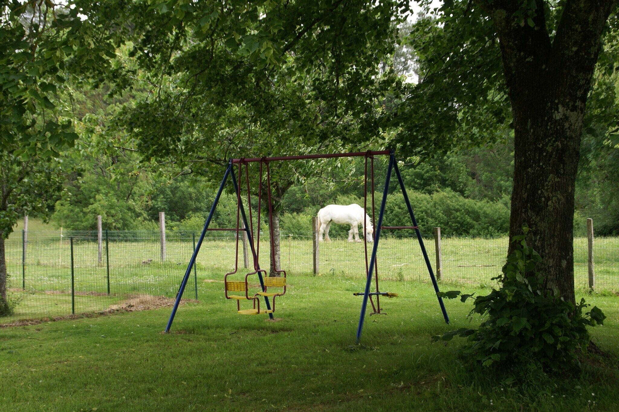A swing set in a grassy area with a fence and trees in the background.