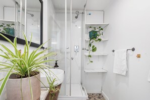 Shower, hair dryer, soap, shampoo