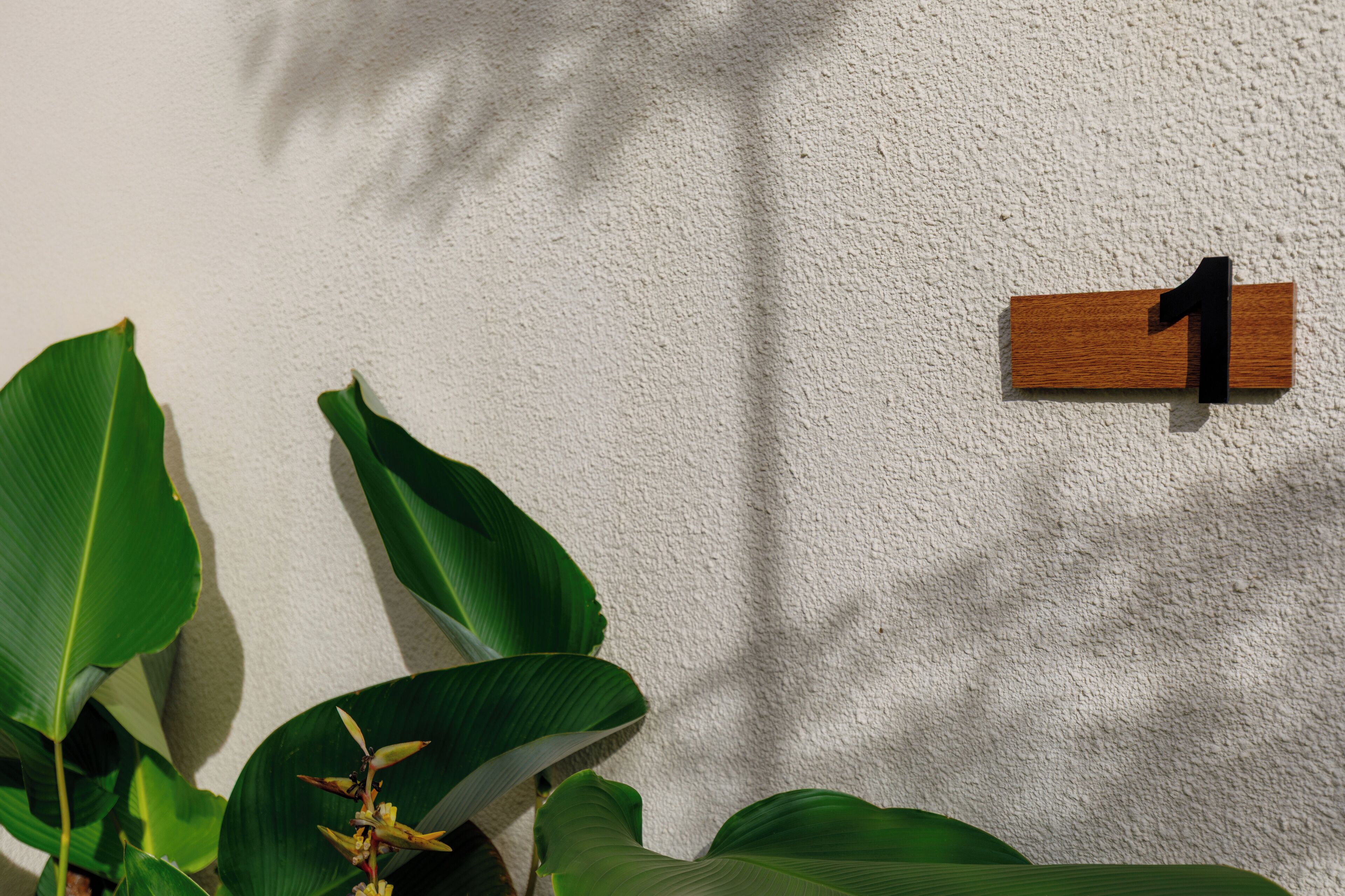 A wall-mounted wooden plaque with the number 1, surrounded by large green leaves.