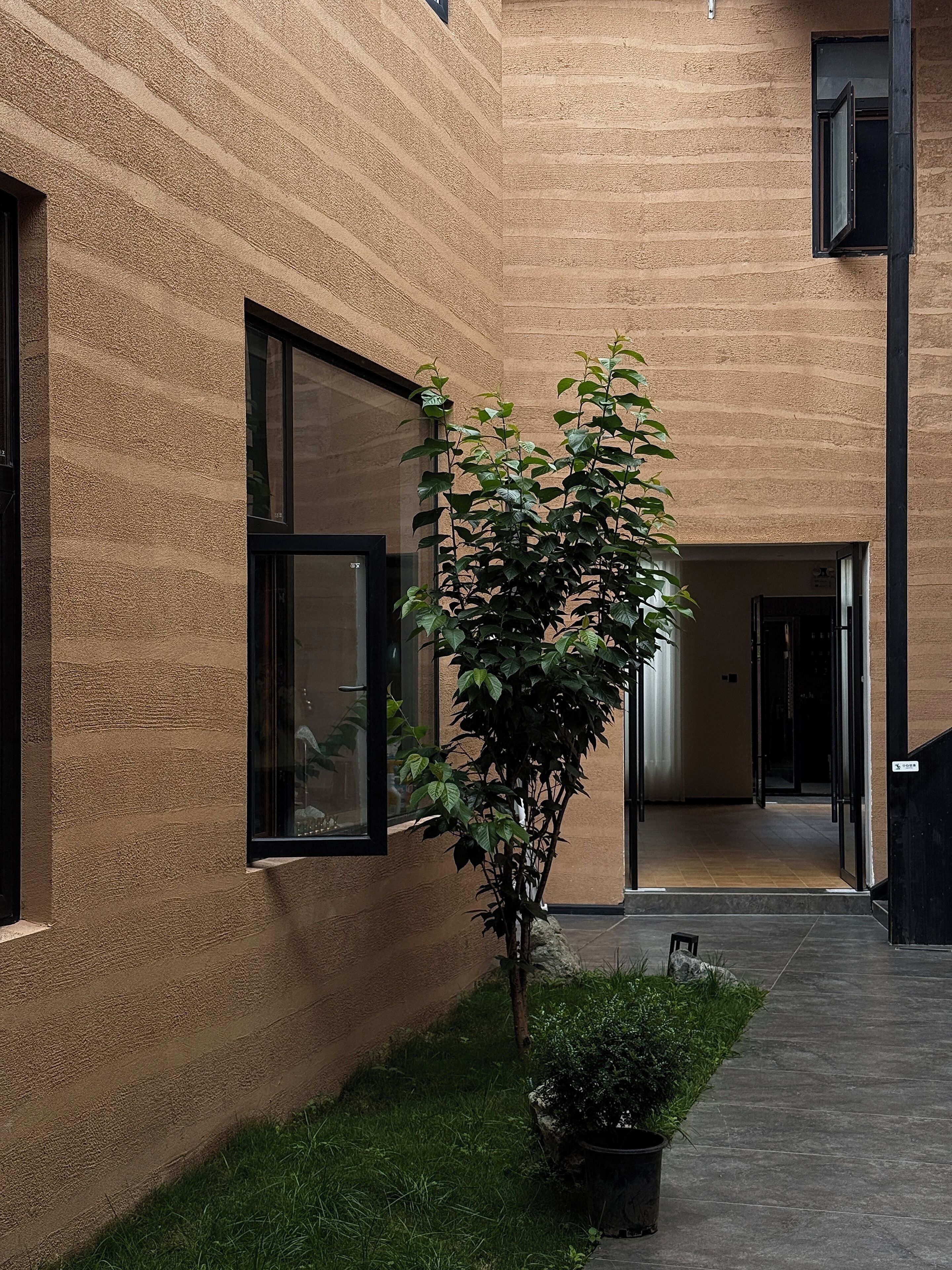 A modern building with a textured facade, large windows, and a small tree in a planter.