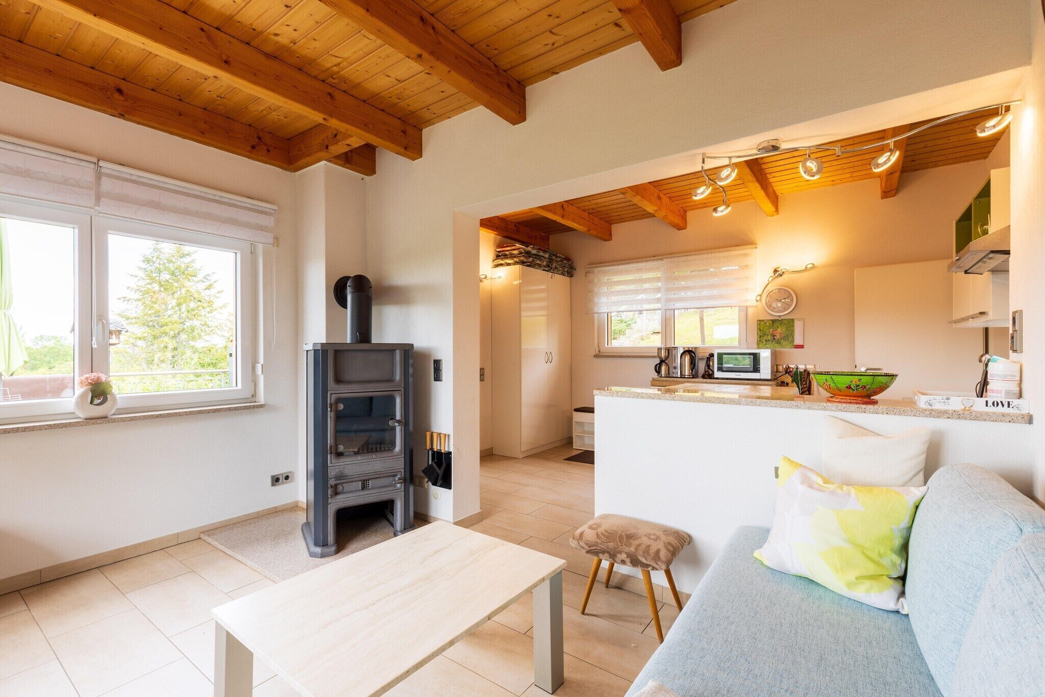 Smart-TV, Kamin