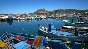 A marina with numerous boats docked, a clear sky, and a hill with buildings in the background.