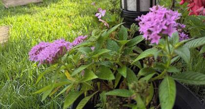 Cozy Apartment 8 minutes from Downtown David - Private Entrance & Garden