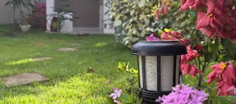 Cozy Apartment 8 minutes from Downtown David - Private Entrance & Garden