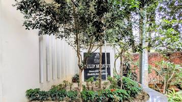 Área da propriedade