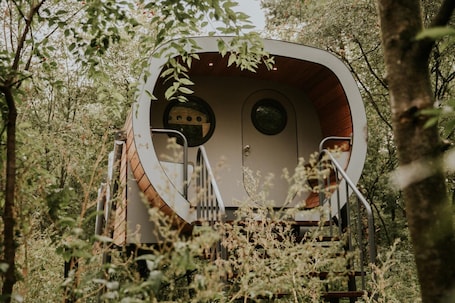 Exterior. Cozy Treehouse Retreat in Overijssel