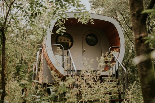 Retraite dans cabane dans les arbres à Overijssel