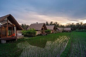 المنشأة من الداخل