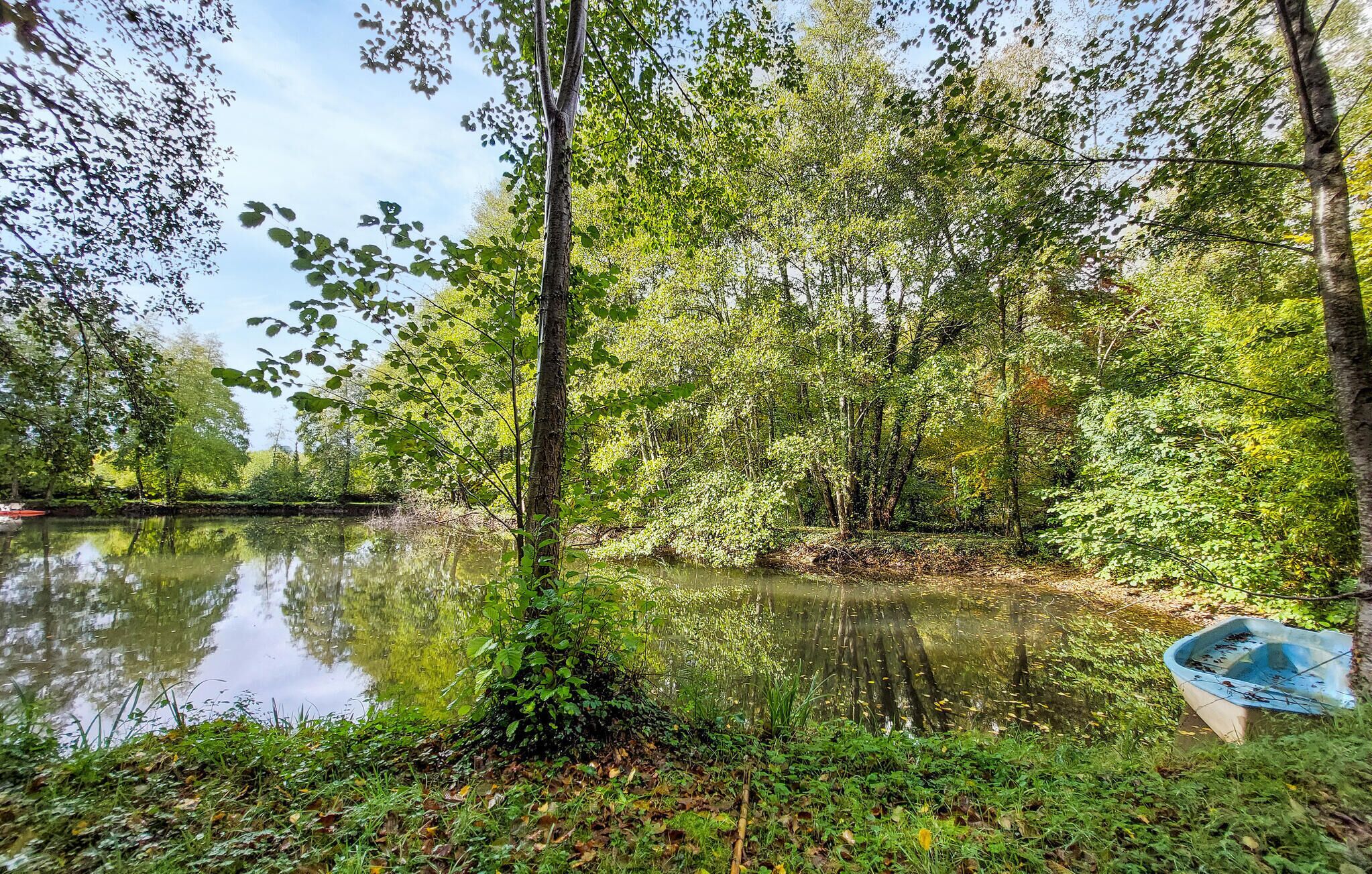 Eine friedliche Flusslandschaft mit dichter Vegetation und ruhigem Wasser, das die Bäume spiegelt.