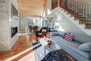 电视、壁炉、DVD 播放器