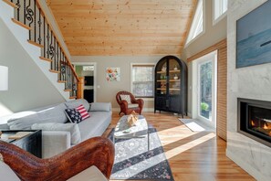 电视、壁炉、DVD 播放器