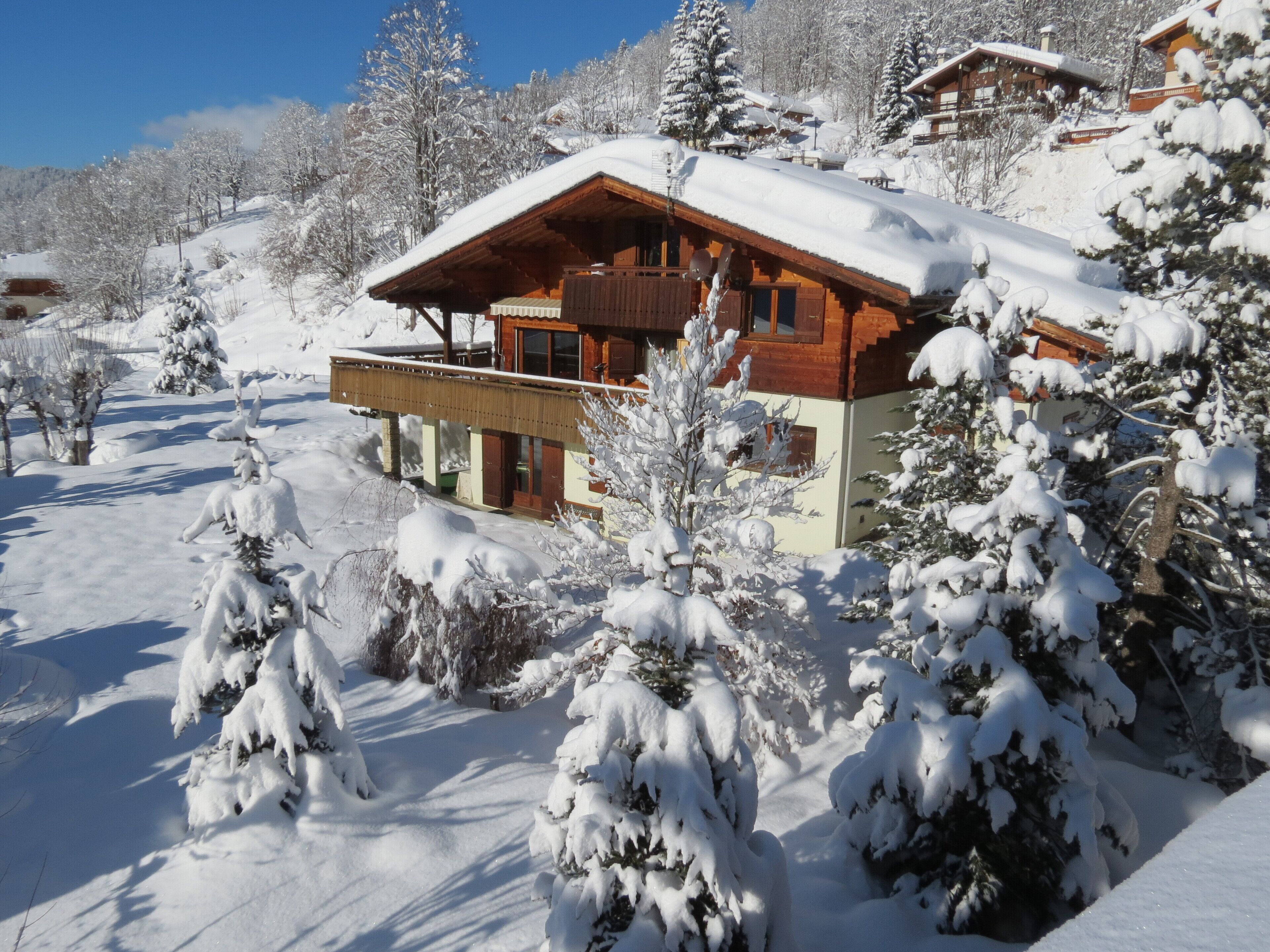 Een houten chalet met balkon, omgeven door met sneeuw bedekte bomen en een helderblauwe lucht.