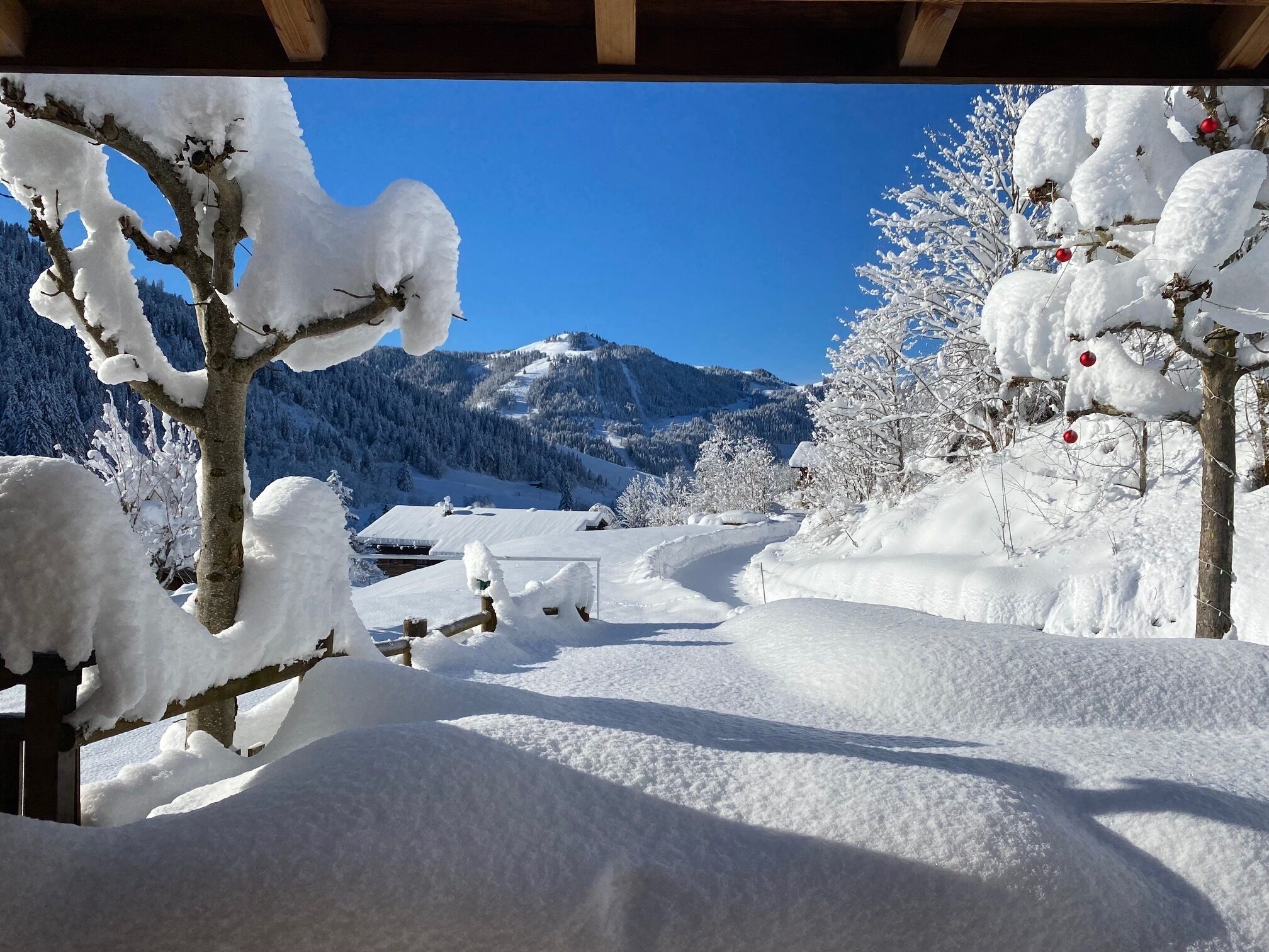Terrein van de accommodatie