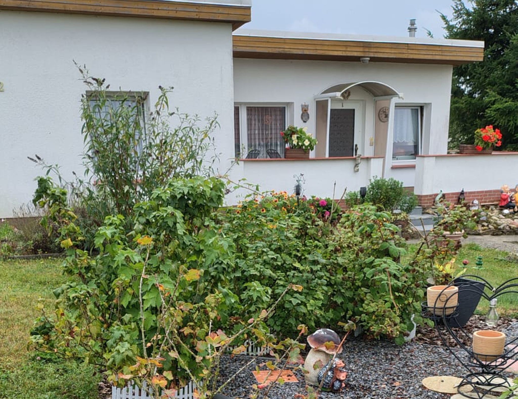 Außenansicht Bungalow THEA