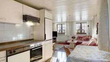 Kühlschrank, Ofen, Herdplatte, Geschirrspüler