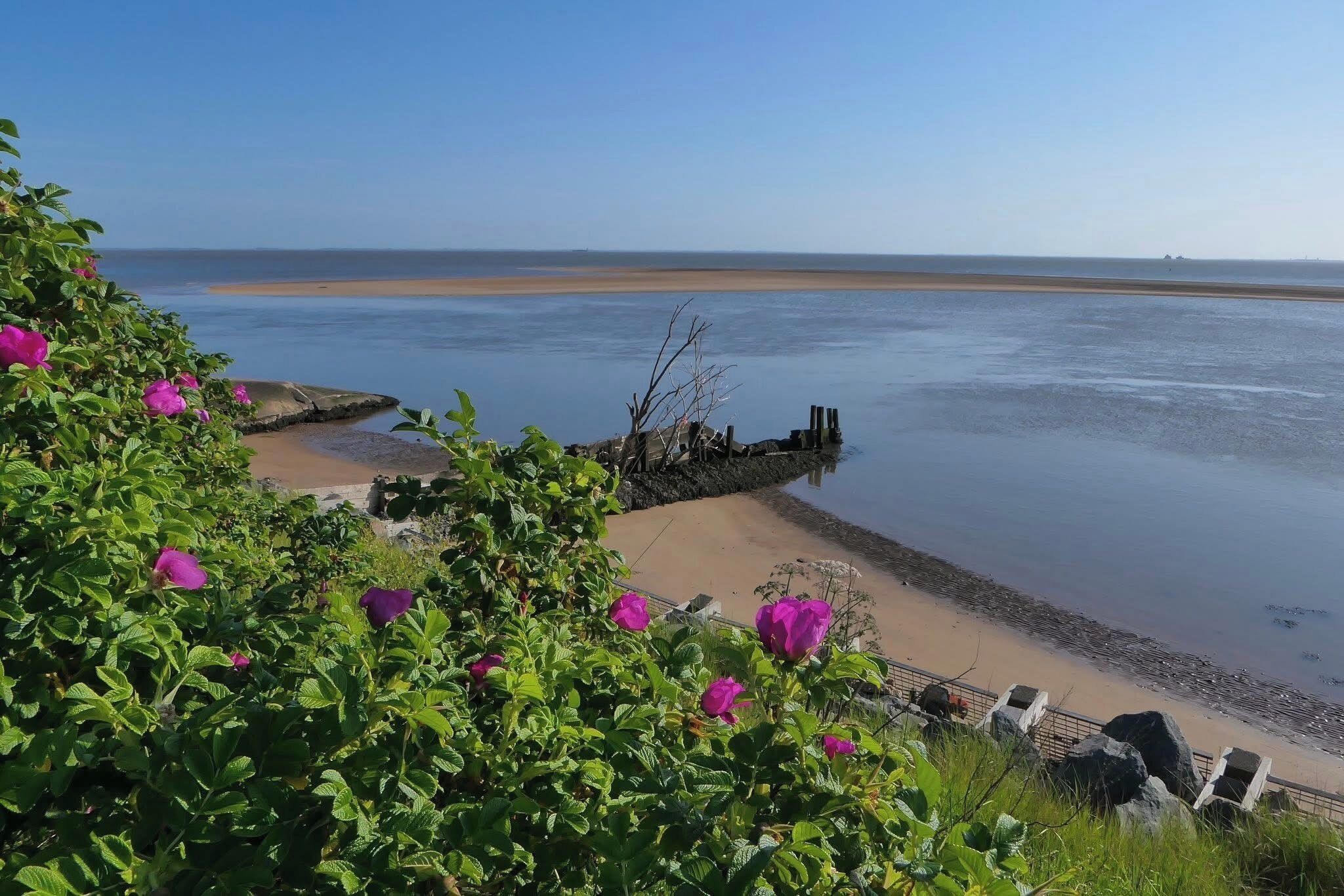 House, 3 Bedrooms, Smoking, Terrace | Beach