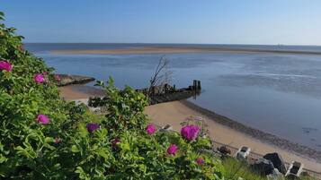 House, 3 Bedrooms, Smoking, Terrace | Beach