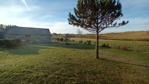 A rural landscape with a house, a fenced field, and a tree.