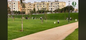 المنطقة المحيطة بالمنشأة