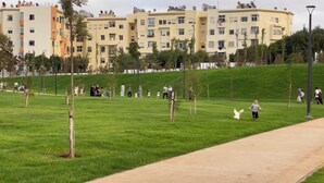 A park with a paved walkway, green grass, and residential buildings in the background.