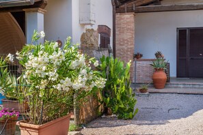 Un jardin agrémenté de plantes en pot et un bâtiment à la façade en briques.
