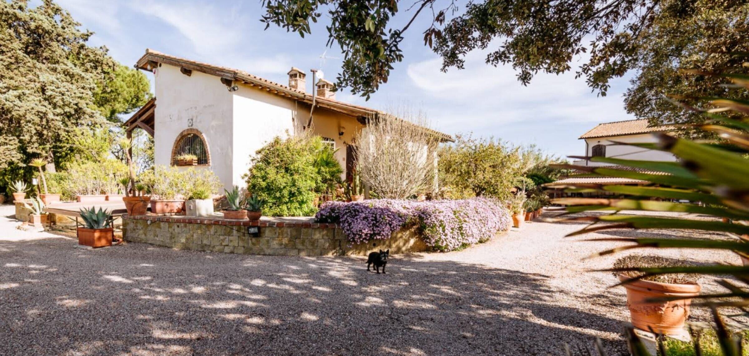 Jardines del alojamiento