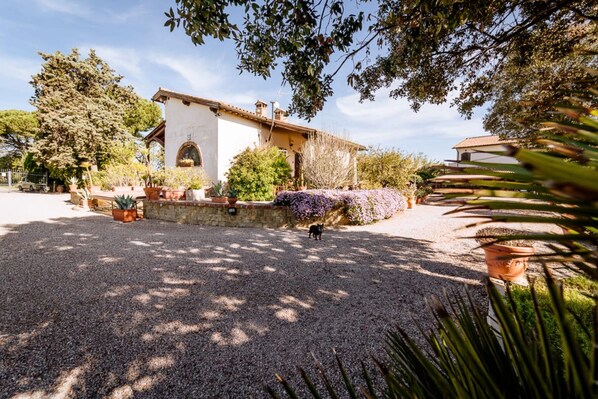 المنطقة المحيطة بالمنشأة