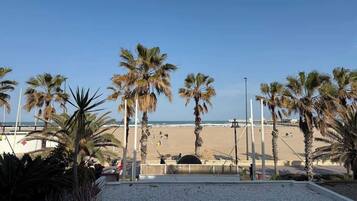 Playa en los alrededores