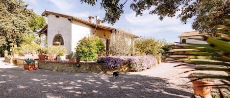Área da propriedade