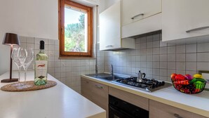 A modern kitchen with white cabinets, a gas stove, and a window with a view of trees.