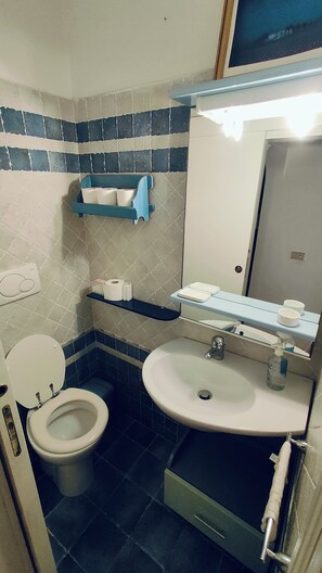 Shower, hair dryer, bidet, towels