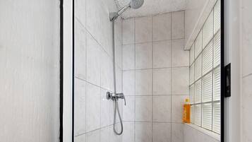 Douche, séchoir à cheveux, serviettes fournies