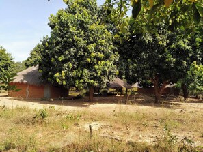 Room, 1 Bedroom, Accessible, Smoking | Property grounds