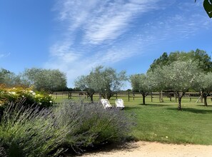 المنطقة المحيطة بالمنشأة