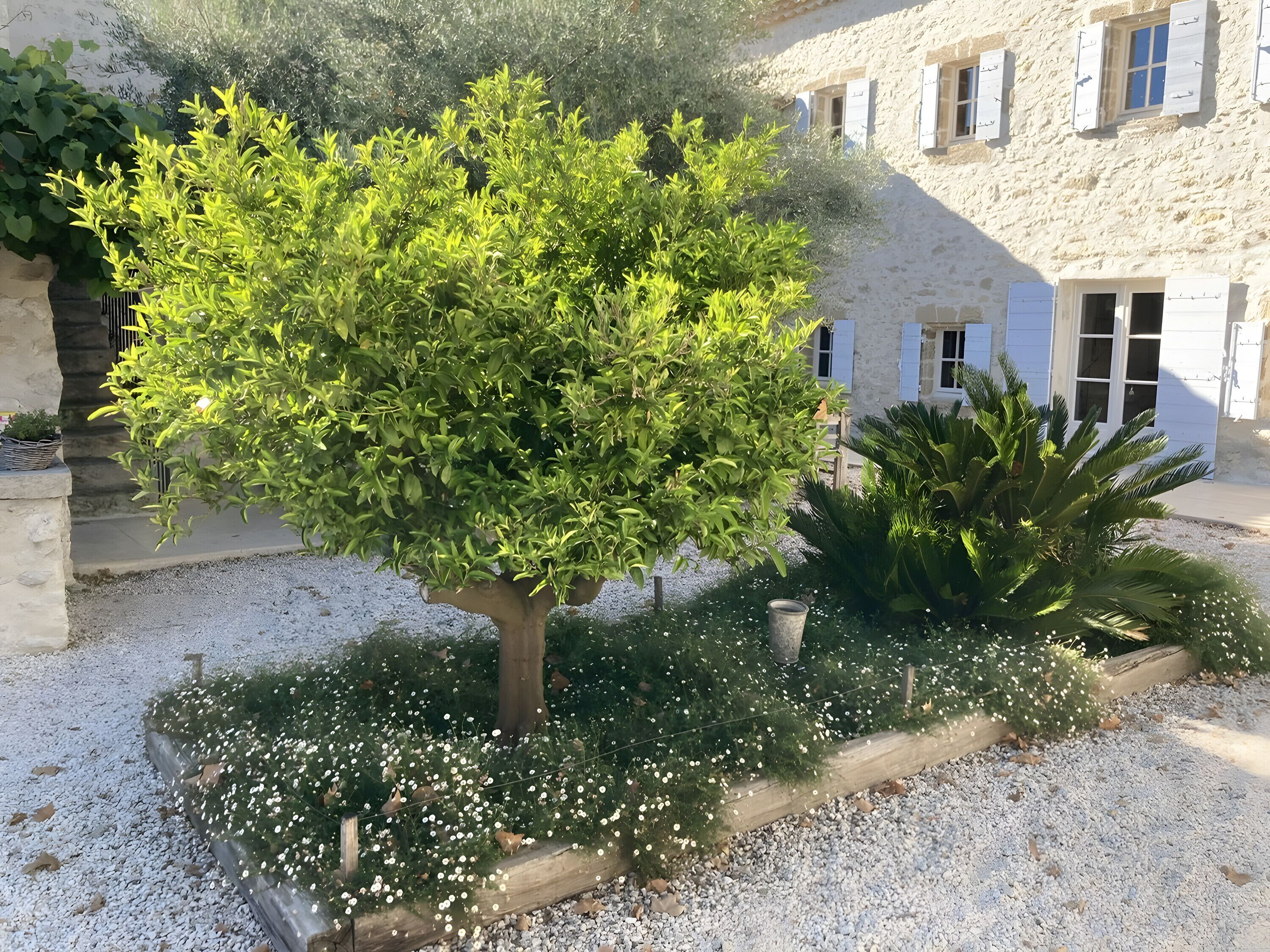 Terrein van de accommodatie