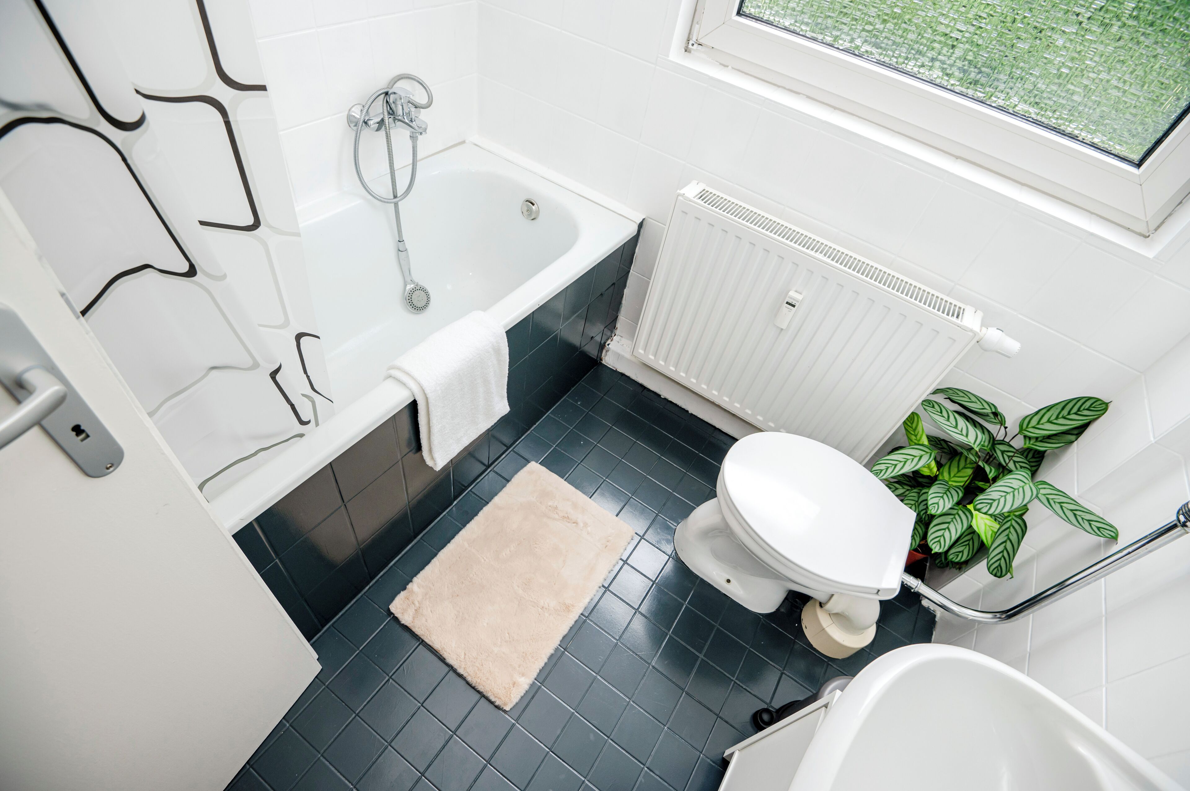 Hair dryer, towels, toilet paper