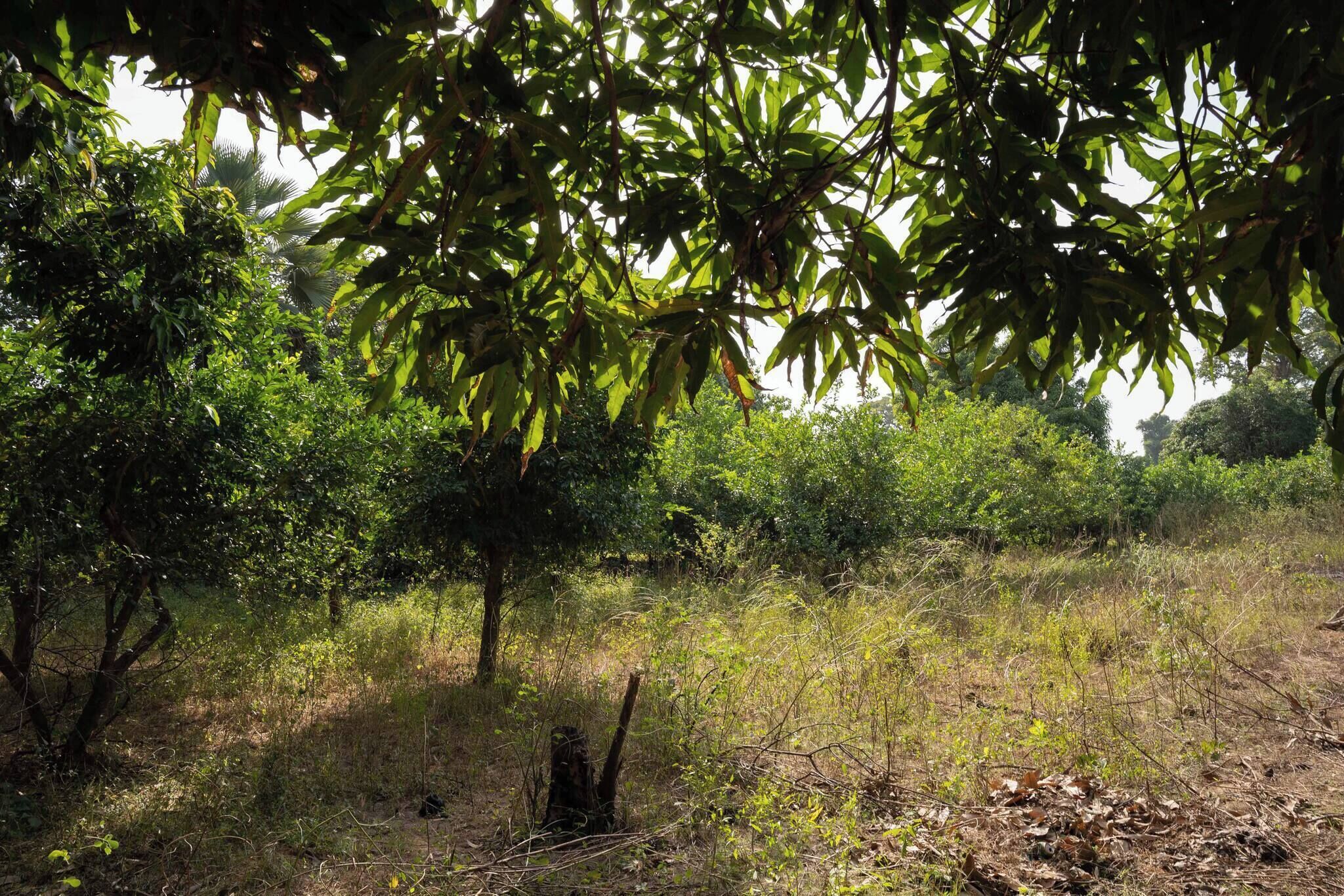 Room, 1 Bedroom, Accessible, Smoking | Exterior