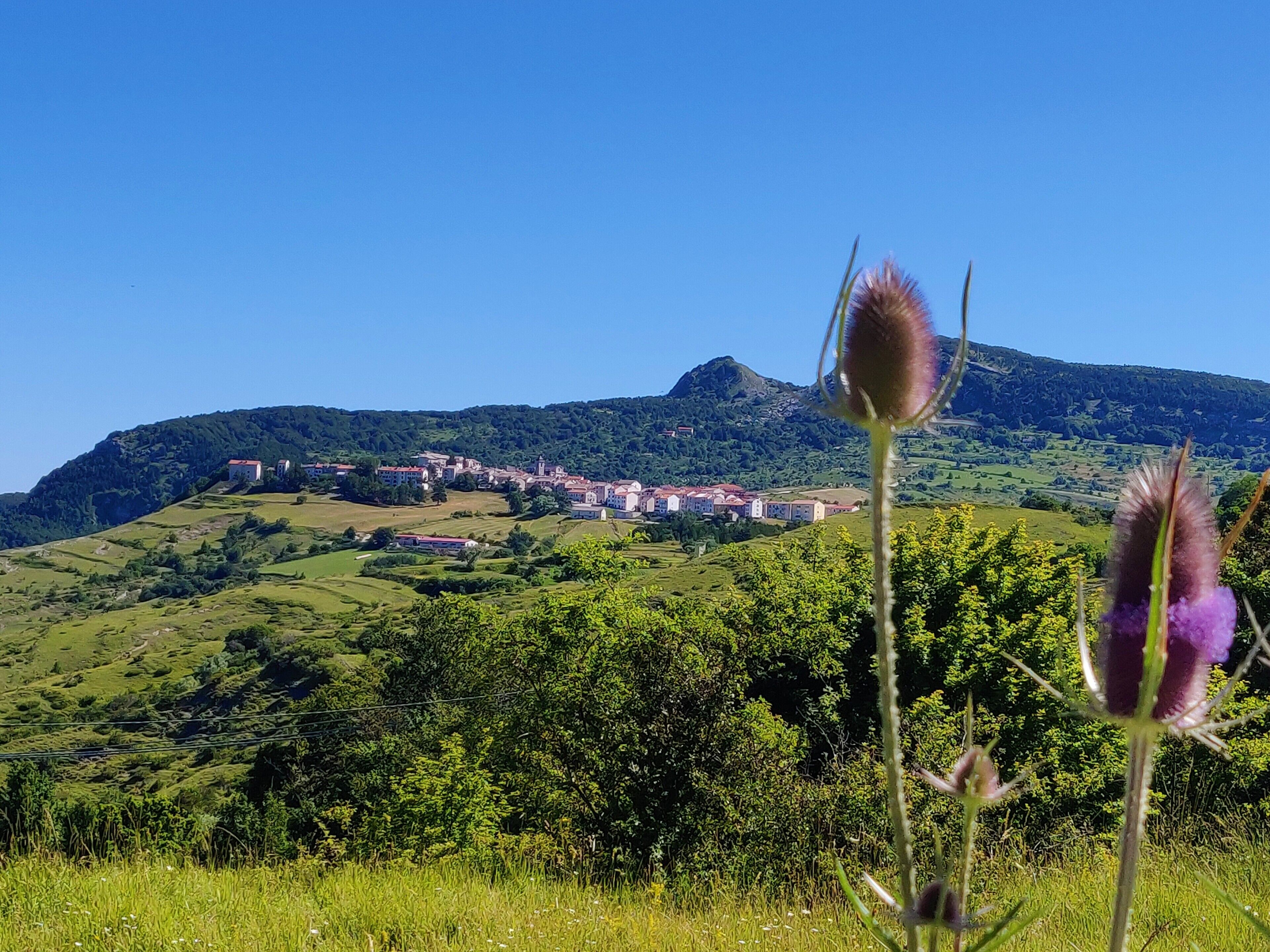 A rural landscape with a village on a hill, surrounded by greenery and a clear sky.