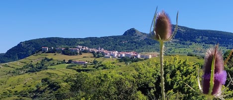 A rural landscape with a village on a hill, surrounded by greenery and a clear sky.