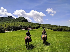 Exterior - Albergo Conte Max (Capracotta)