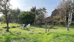 Un espacio al aire libre con césped, una mesa y sillas, rodeado de árboles y arbustos.