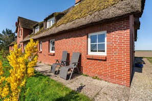 A red brick house with a thatched roof, a small porch with two chairs, and a yellow flowering tree in the foreground.