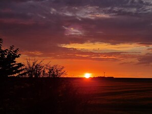 Photo non classée, 3 sur 21, bouton