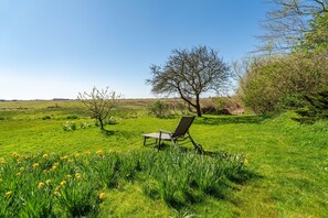 Un champ herbeux avec une seule chaise et un arbre.