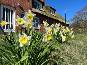 Photo non classée, 4 sur 21, bouton