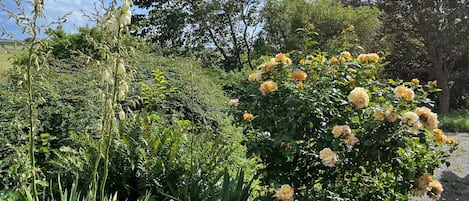 Àrea exterior de l'allotjament