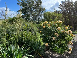 Jardines del alojamiento