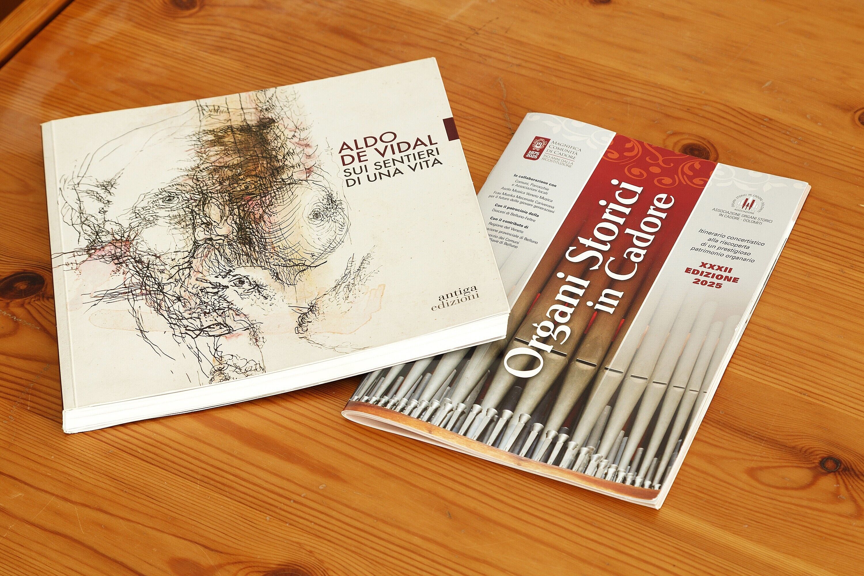 A book titled 'Aldo De Vival' and a set of brushes.