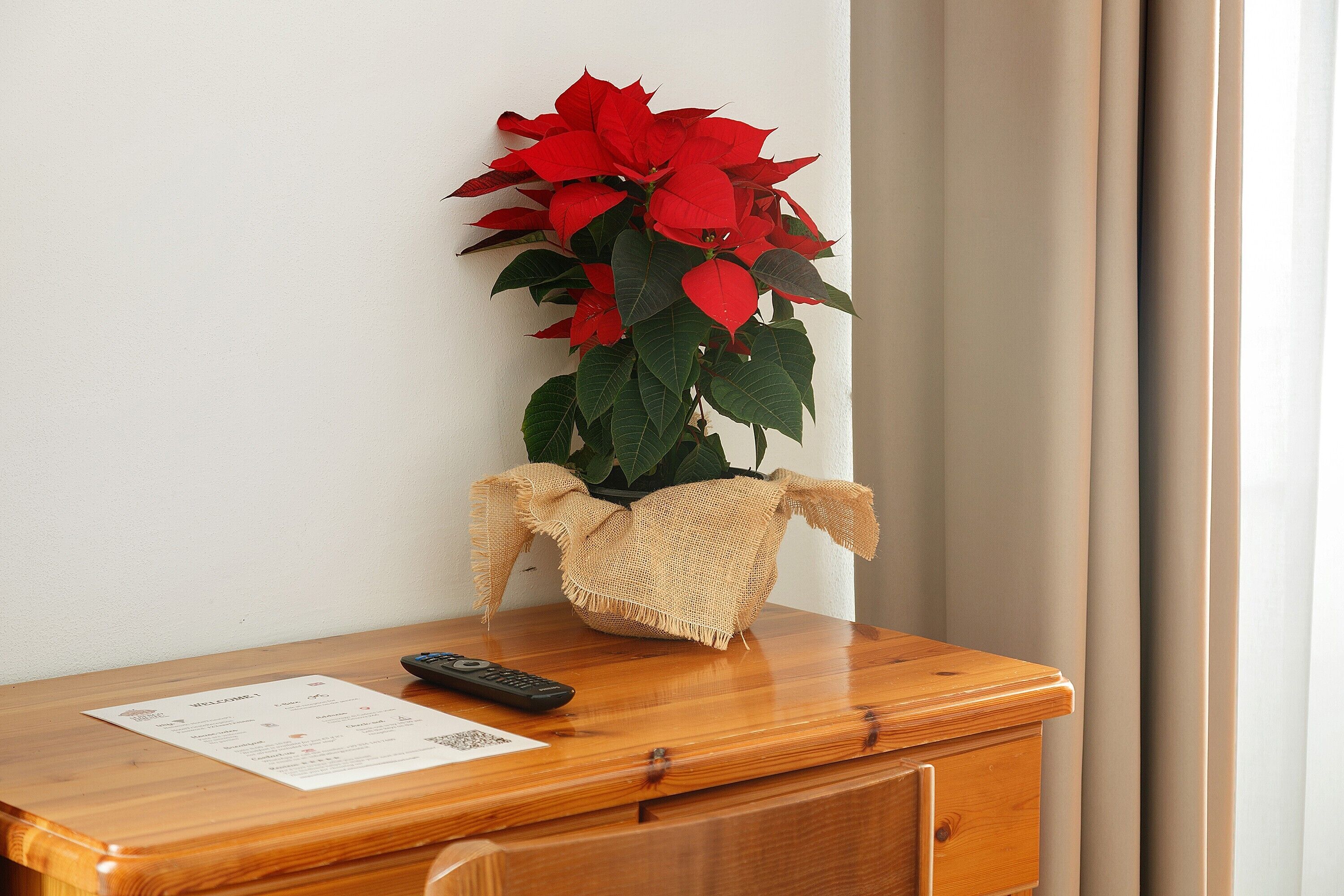A wooden desk with a remote control, a paper, and a potted plant with red flowers.