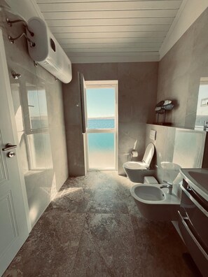 Shower, hair dryer, bidet, towels